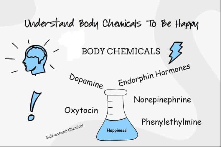 Understand Body Chemicals To Be Happy