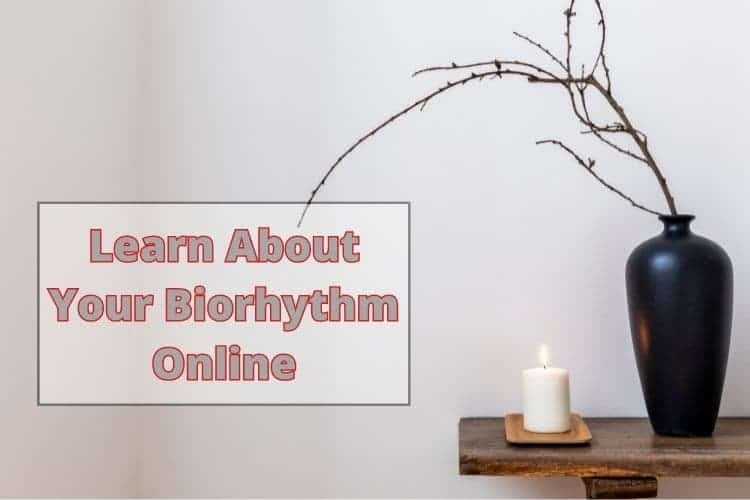 Learn About Your Biorhythm Online