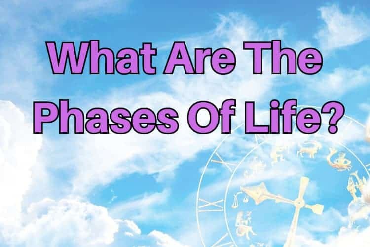 What are the phases of life?